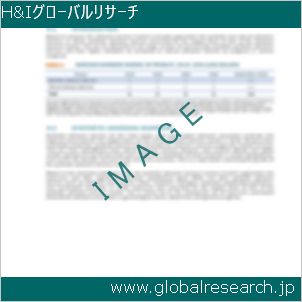 グローバルリサーチ調査レポートのイメージ